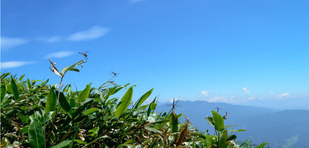 青空と山の写真