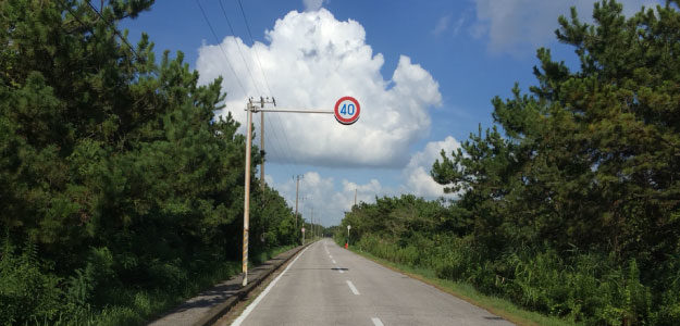 青空と林道の写真