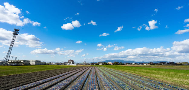 青空と畑の写真