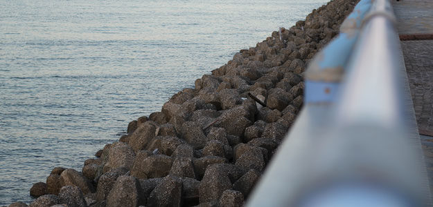 海岸線の写真