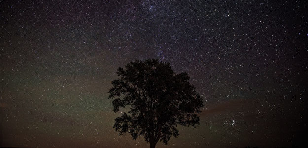 星空と木の写真