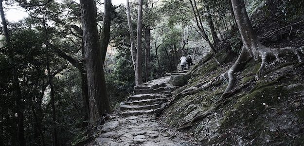  山道の階段の写真