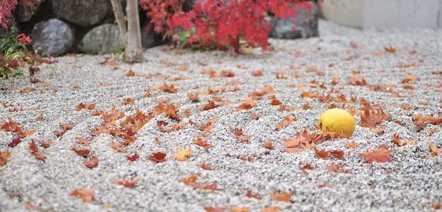 枯山水の庭に落ちた紅葉の写真