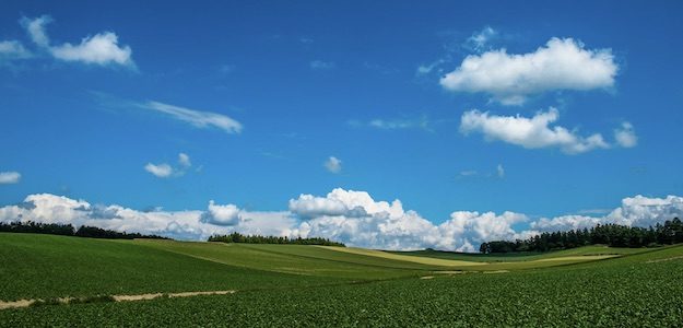 青空と草原の写真