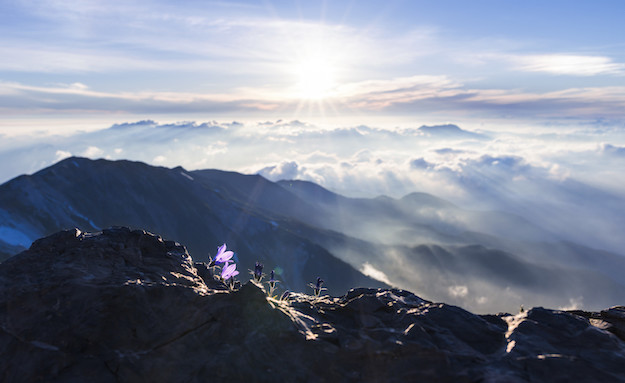 山頂からの朝日の写真