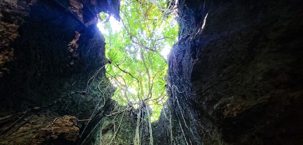 洞窟から見上げた空の写真