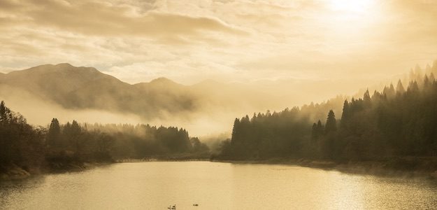 朝日の登る池の写真