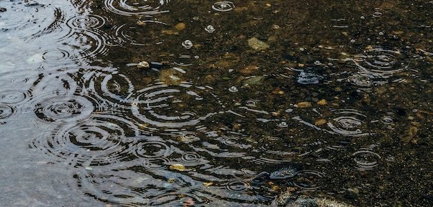 雨と水溜りの写真