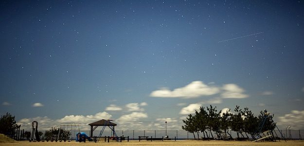 公園から見える星空の写真