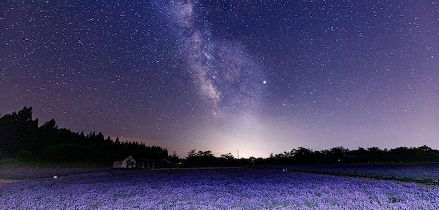 ラベンダー畑と星空の写真