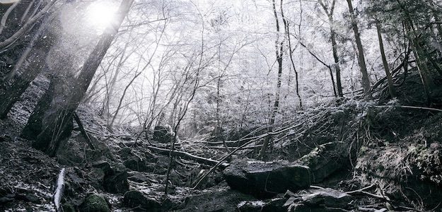 雪が降る山中の写真