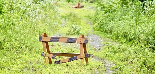 道の写真