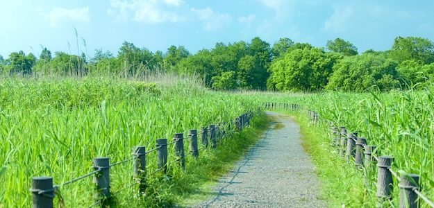 遊歩道の写真