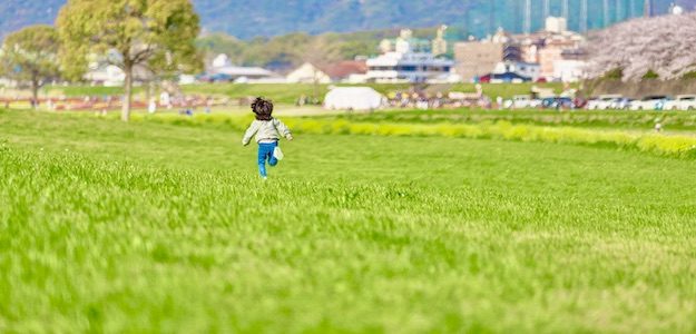 草原を走る子供の写真