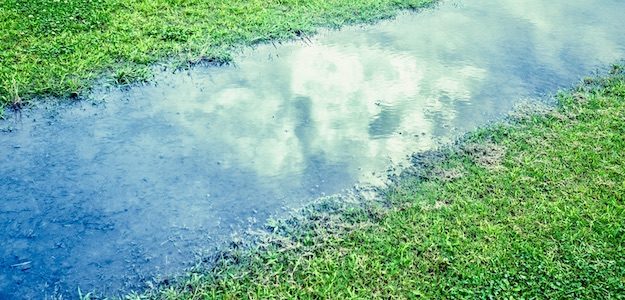 雨上がりの道の写真