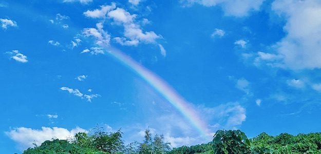 青空と虹の写真