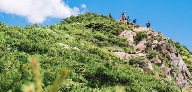 山頂に到達した登山者の写真