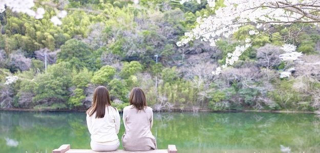 池の前のベンチに座る女性の写真