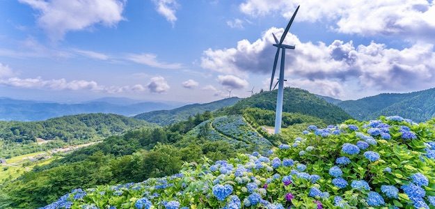 山と紫陽花の写真