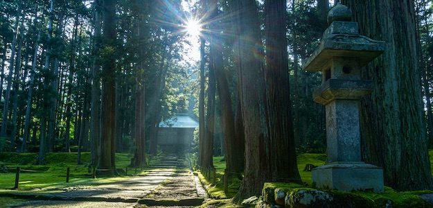 神社の参道の写真