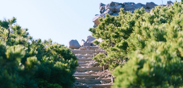 登山道の写真